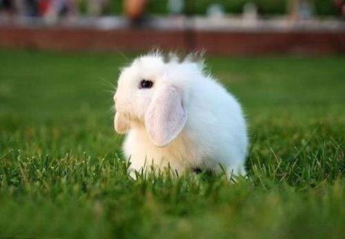 1653361551185936.jpg 2fd7fd0452c4482db3ecb16375901042.jpg