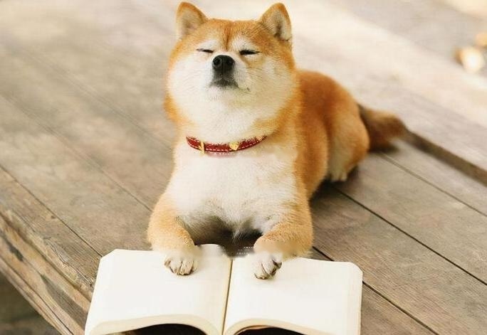 The