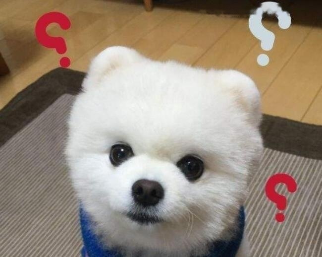 Interpretation Interpretation