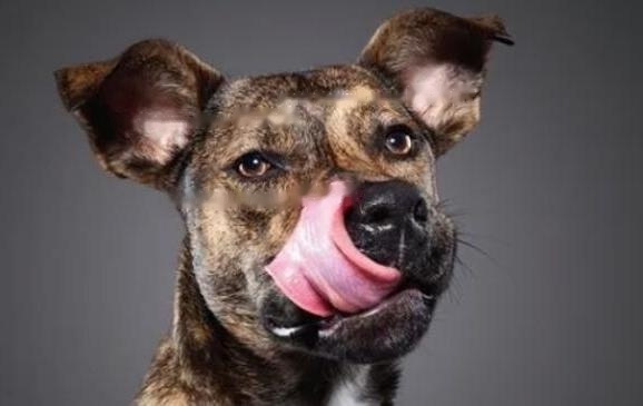 Interpretation Interpretation