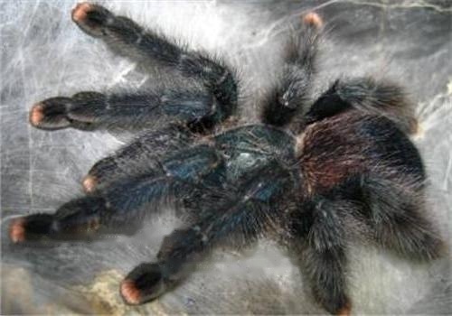 Entry-level Entry-level