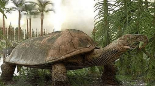 Freshwater Freshwater