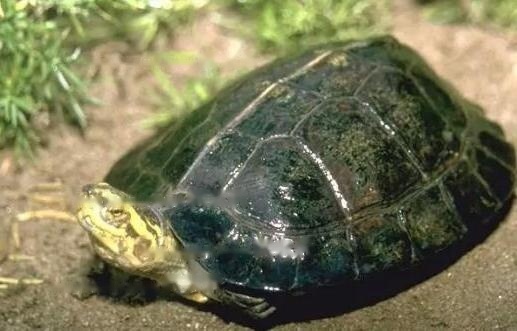 Internationally “Internationally