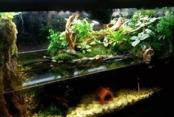 What Aquarium