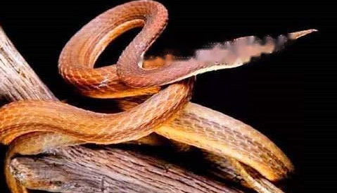 Introduction Introduction