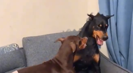 Luca&Where Luca&Where