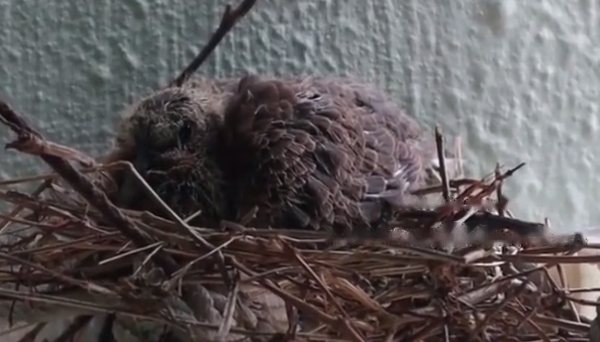 Self-channel Self-channel