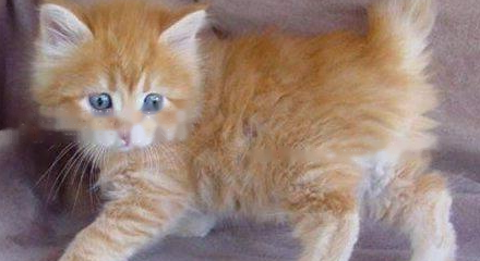 Characteristics Characteristics