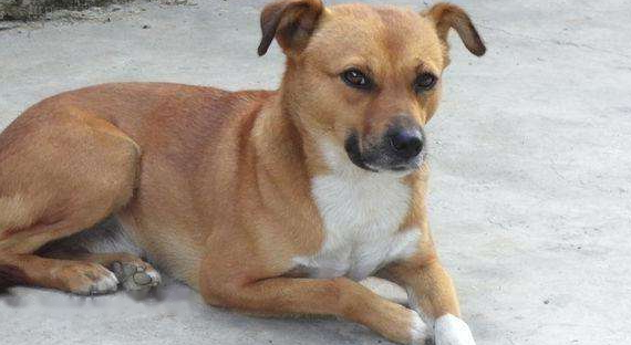 Precautions Precautions