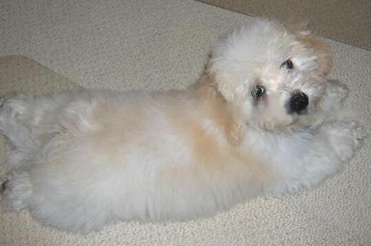 Approximately Weight