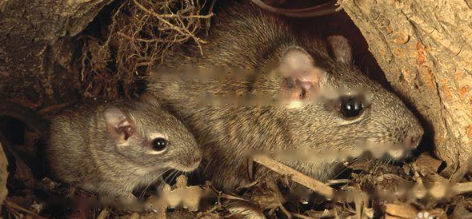 Precautions Precautions