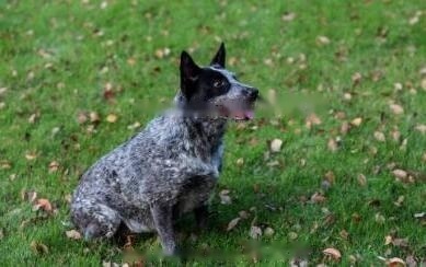 Precautions Precautions