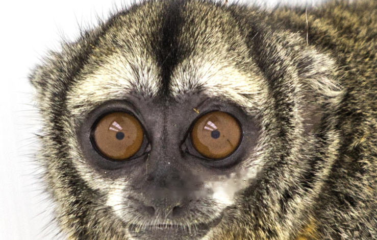 Characteristics Characteristics