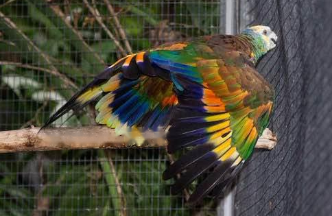 Characteristics Characteristics