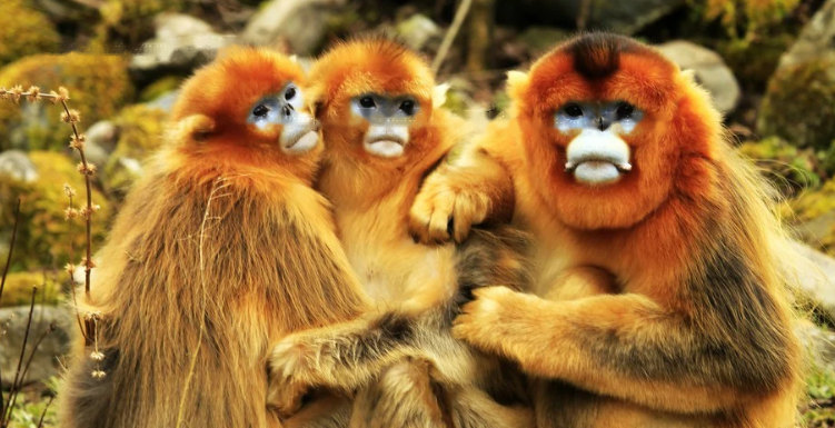 Characteristics Characteristics