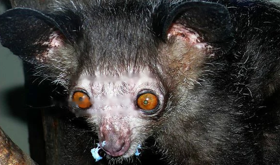 Characteristics Characteristics