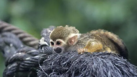 Characteristics Characteristics