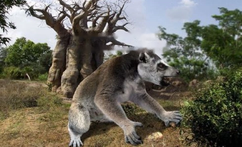 Characteristics Characteristics