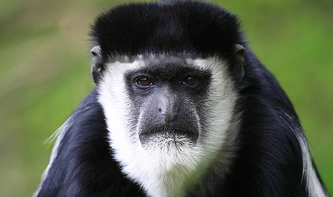 Characteristics Characteristics