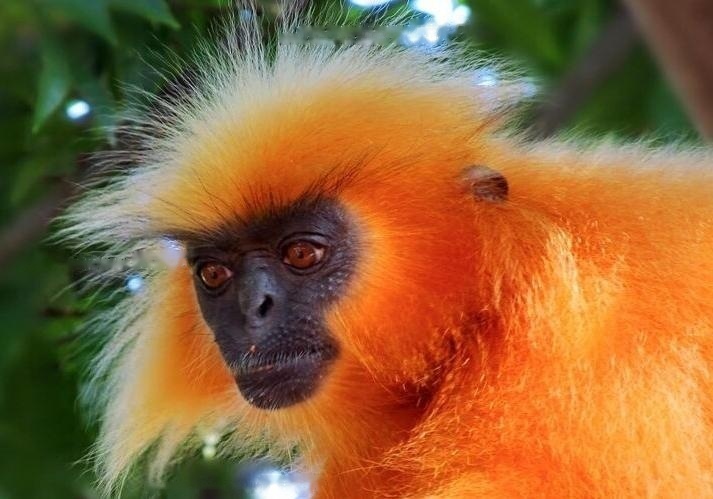 Characteristics Characteristics