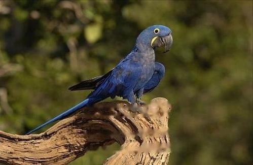 Characteristics Characteristics