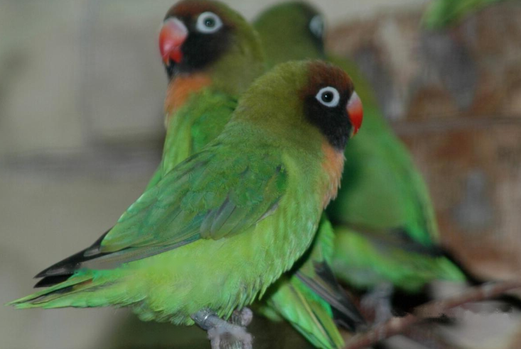 Characteristics Characteristics