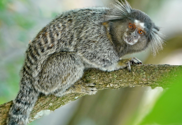 Characteristics Characteristics