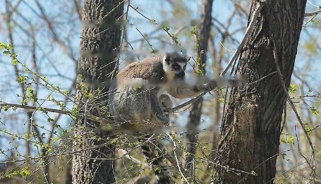 Characteristics Characteristics