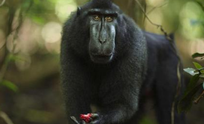 Characteristics Characteristics