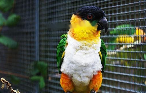 Characteristics Characteristics