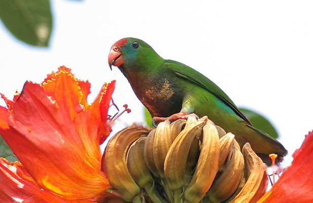 Characteristics Characteristics