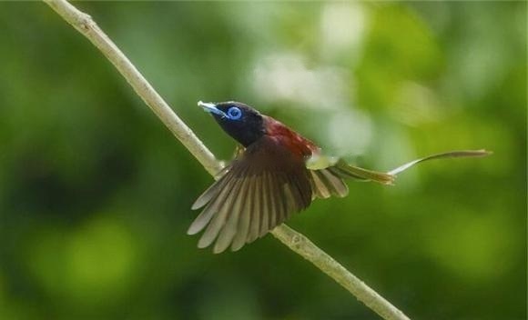 Characteristics Characteristics