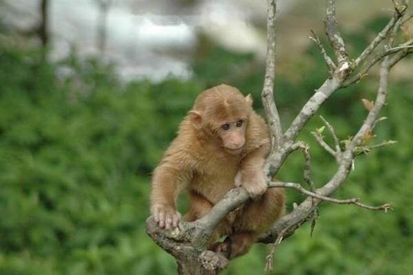 Characteristics Characteristics