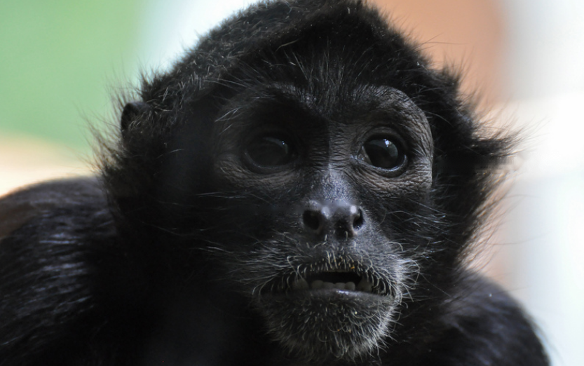 Characteristics Characteristics