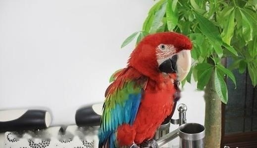 Characteristics Characteristics