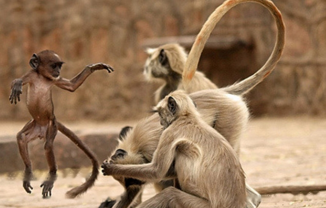 Characteristics Characteristics