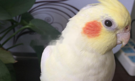 Characteristics Characteristics