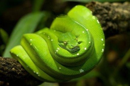 Characteristics Characteristics