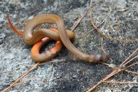 Characteristics Characteristics