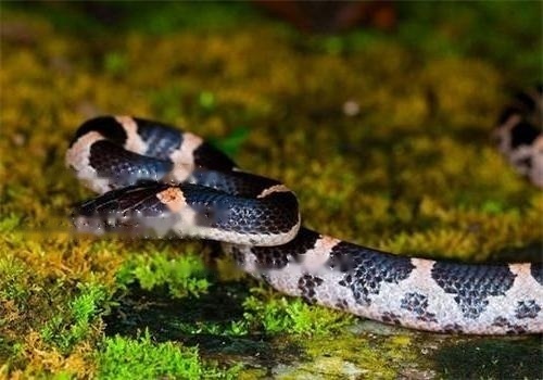 Characteristics Characteristics