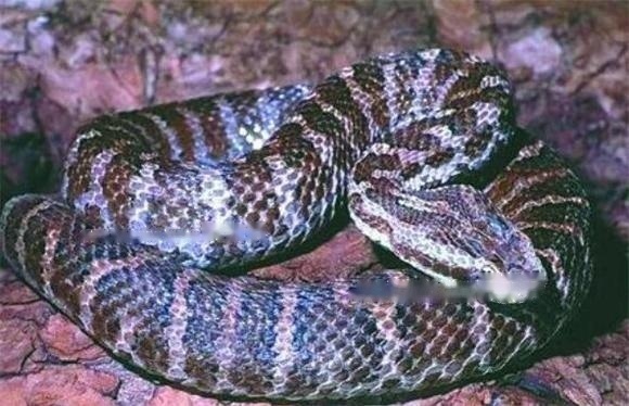 Characteristics Characteristics