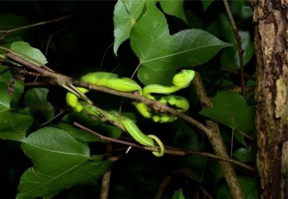 Characteristics Characteristics