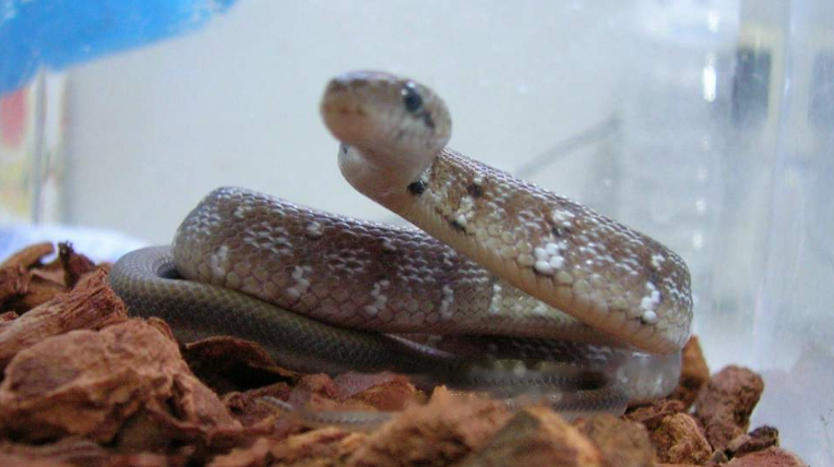 Characteristics Characteristics