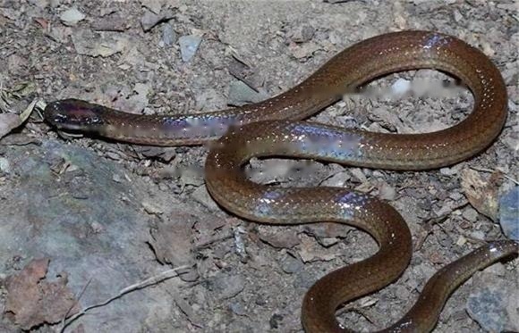 Characteristics Characteristics