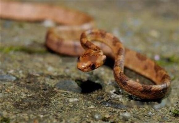 Characteristics Characteristics