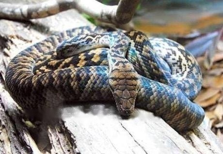 Characteristics Characteristics