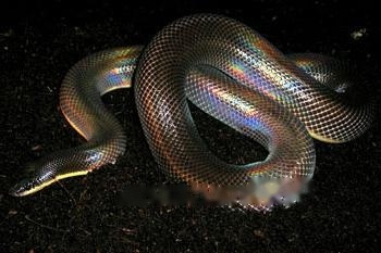 Characteristics Characteristics