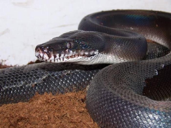 Characteristics Characteristics