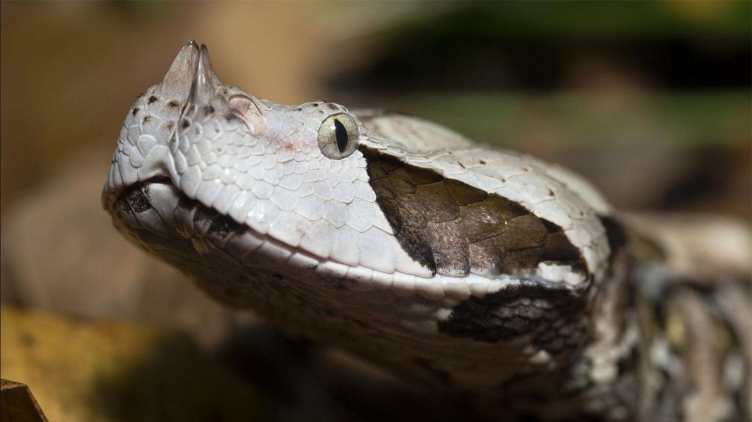 Characteristics Characteristics