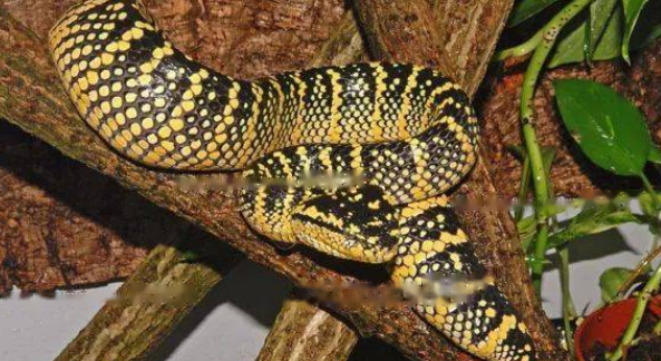 Characteristics Characteristics